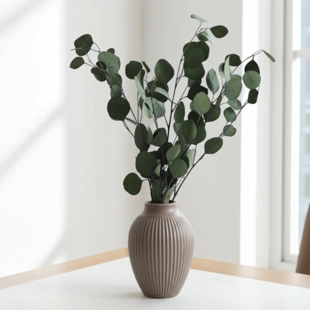 Stabilizovaný eukalyptus Populus